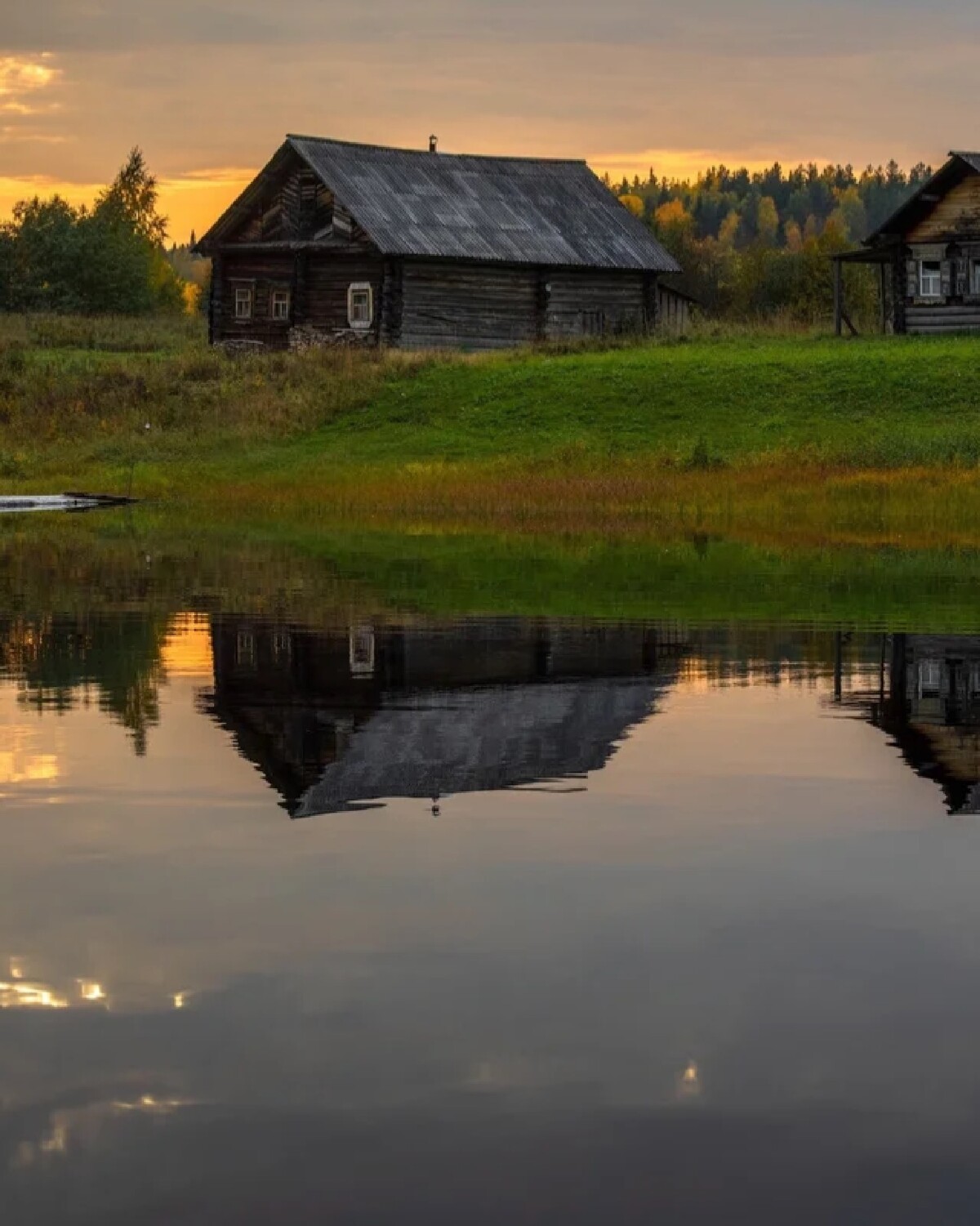 Кенозерский парк фото