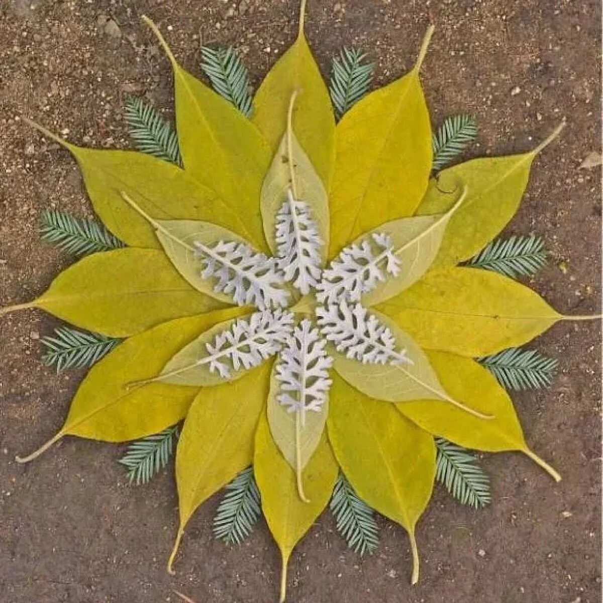 Мандала осенние листья Данмала