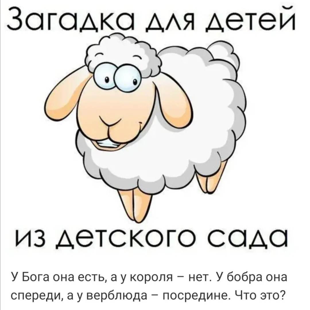 Загадка у барана спереди у араба. Загадка у барана спереди у араба сзади на небе есть. Овца надпись. Баран спереди.