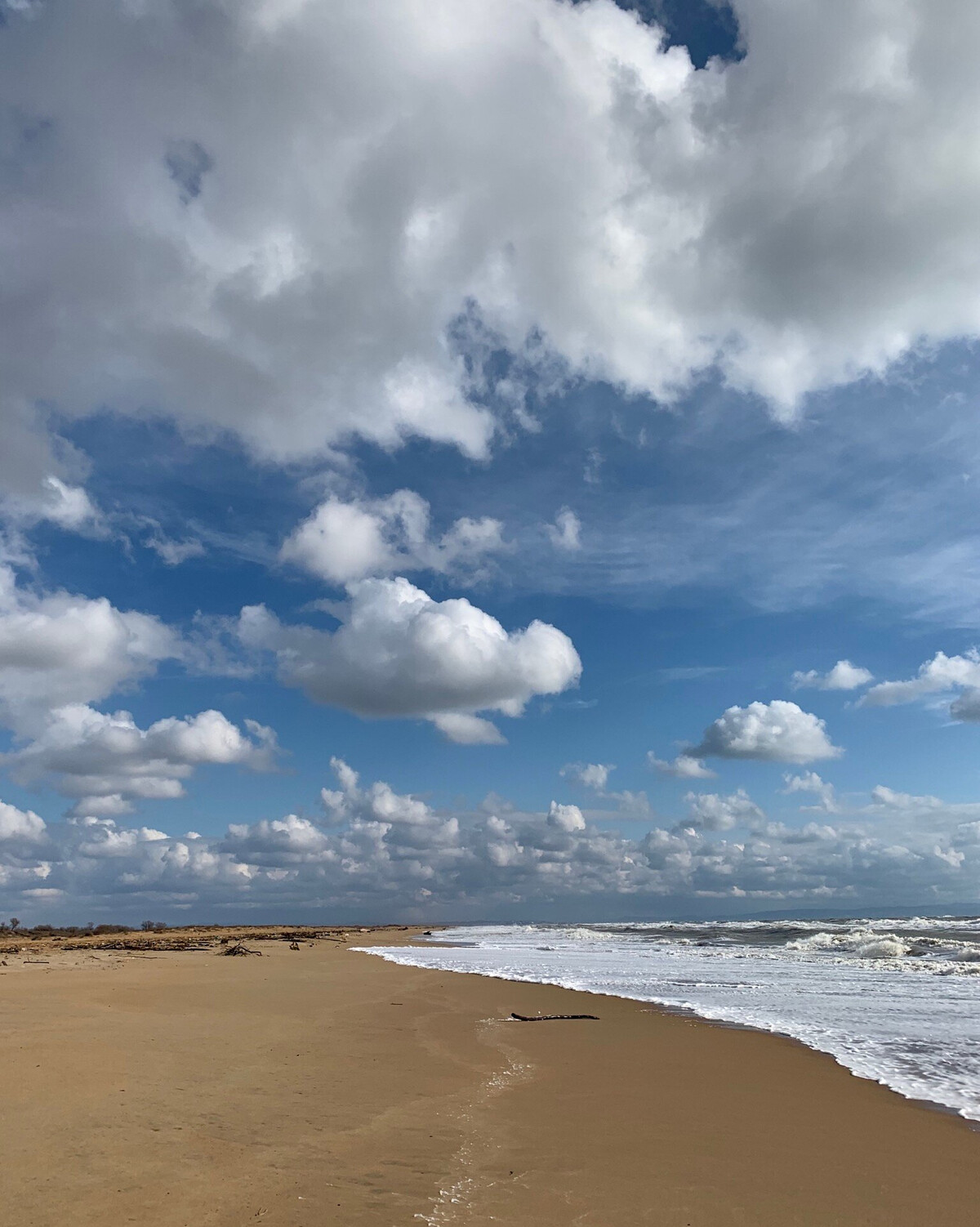 Благовещенка. Станица Благовещенская море. Море блага Благовещенская. Ст Благовещенская море. Море в Благовещенской сейчас.