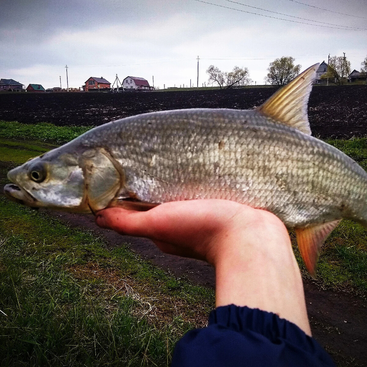 Рыбалка на реке спиннингом