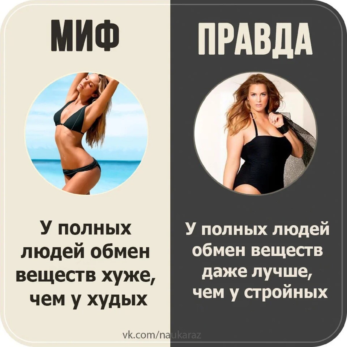 Миф правда