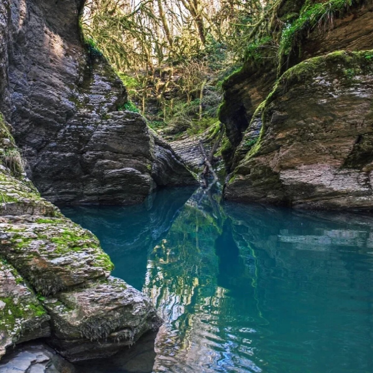 Каньон Псахо Хоста