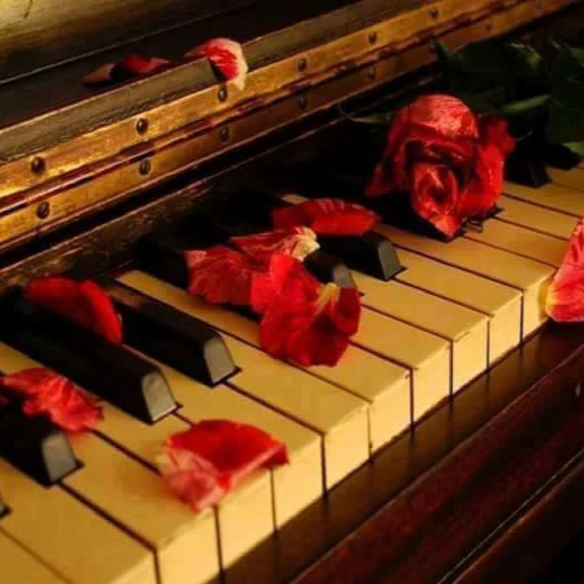 Самая нежная мелодия. Цветы на рояле. Рояль сердце. Сердечко пианино. Фортепиано романтика.