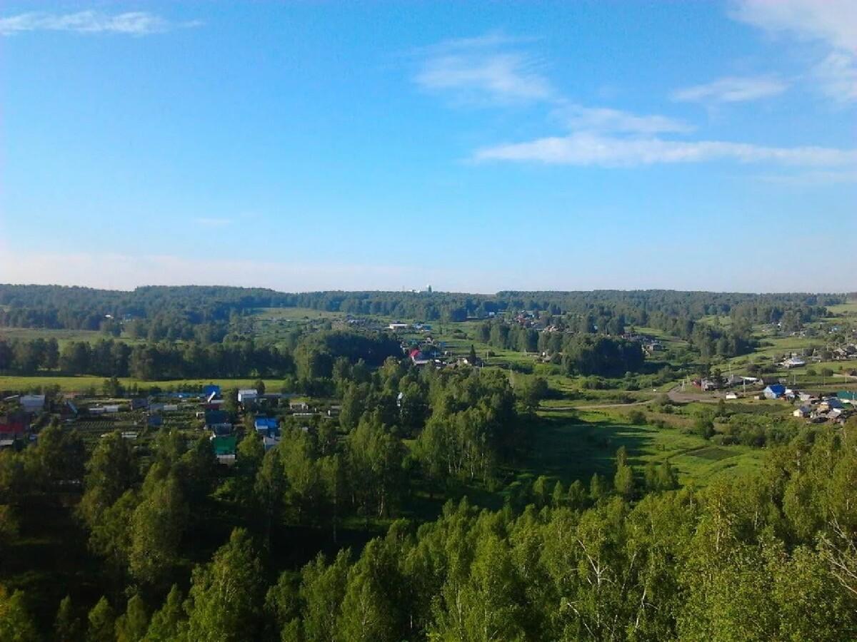 Пол кемерово. Красивое поле Кемерово