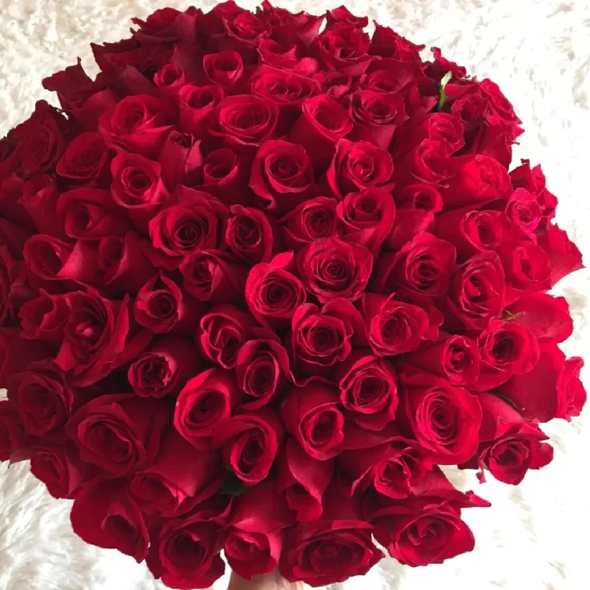 розы для любимой женщины красивой фото