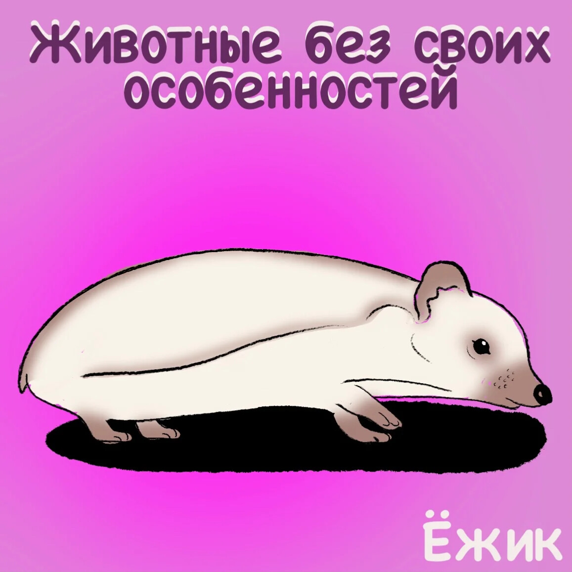 Панда без черных кругов под глазами