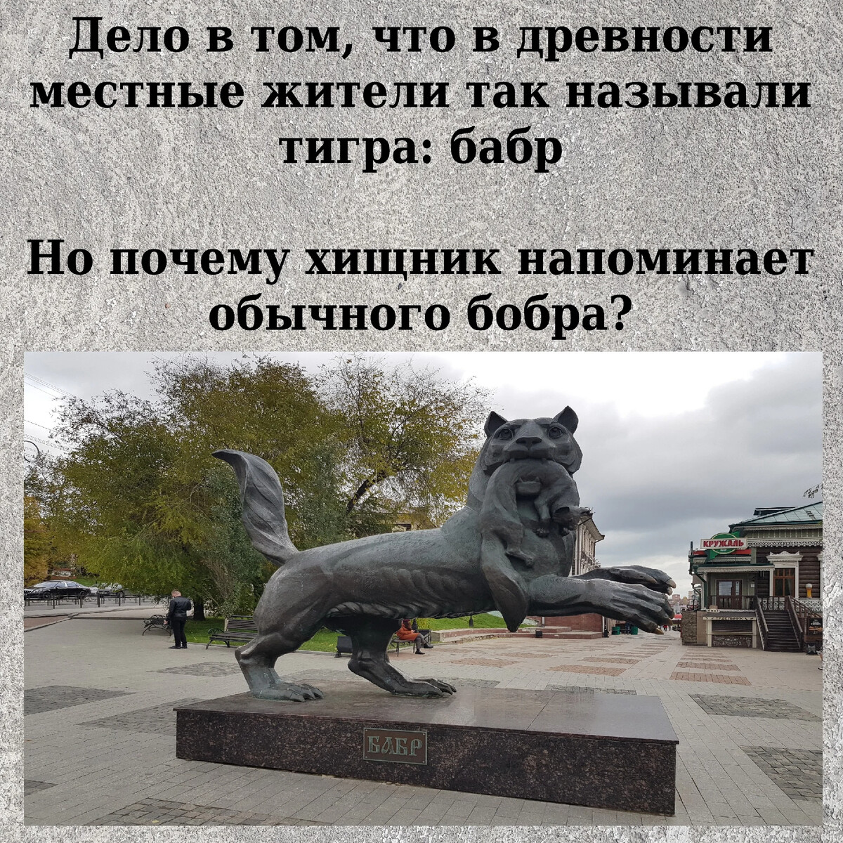 Памятник Иркутска Бабр презентация
