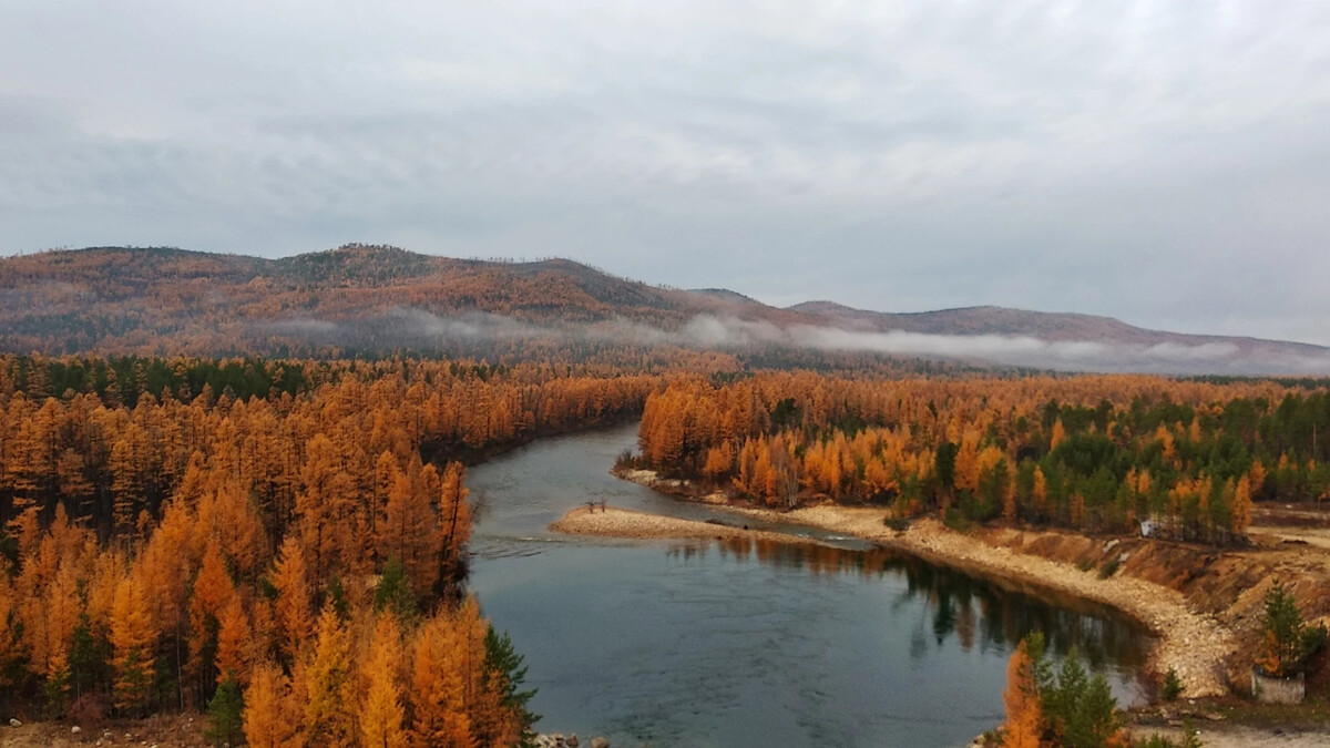 Иркутская обл время. Тайга Бодайбо. Бодайбо Иркутская область. Сибирь город Бодайбо. Восточная Сибирь Бодайбо.