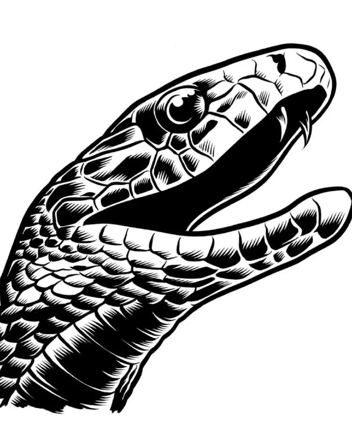 голова змея геншин как открыть. голова змея геншин как открыть. гадюка змея оскал. тату голова змеи. голова змея геншин как открыть.