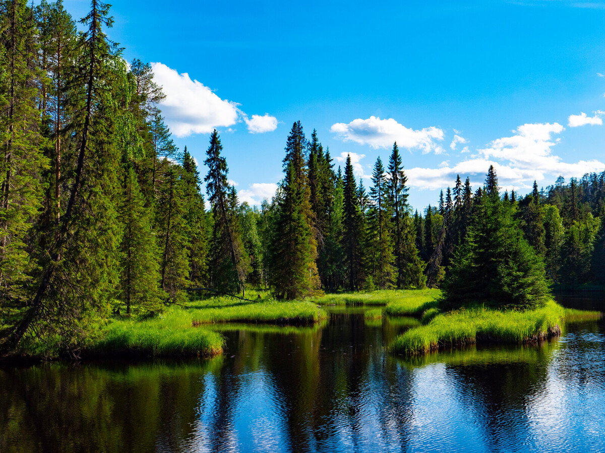 Водопад куми