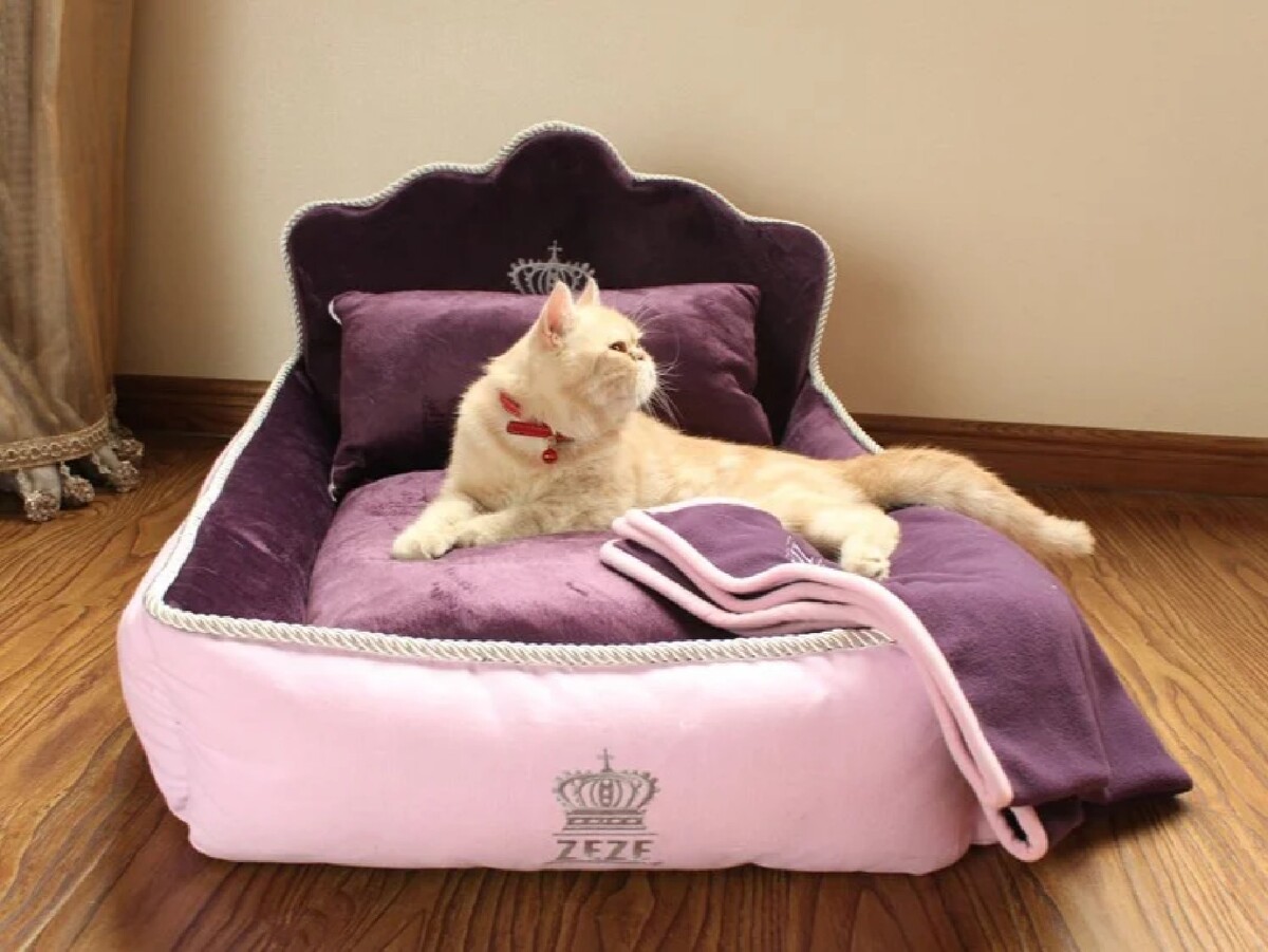 Кот в кроватке
