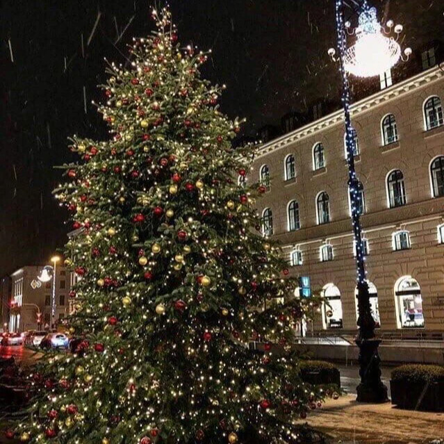 Ёлка-щелкунчик на площади восстания. Надпись hello december. Hello december. Декабрь удиви. Декабрь картинки с надписью.