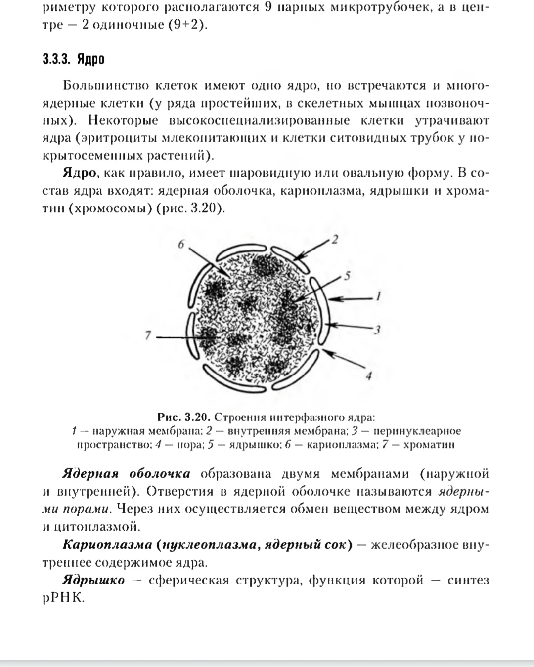 Укажите лишний объект телеграмма чертеж учебник по биологии фотография картина фото 40