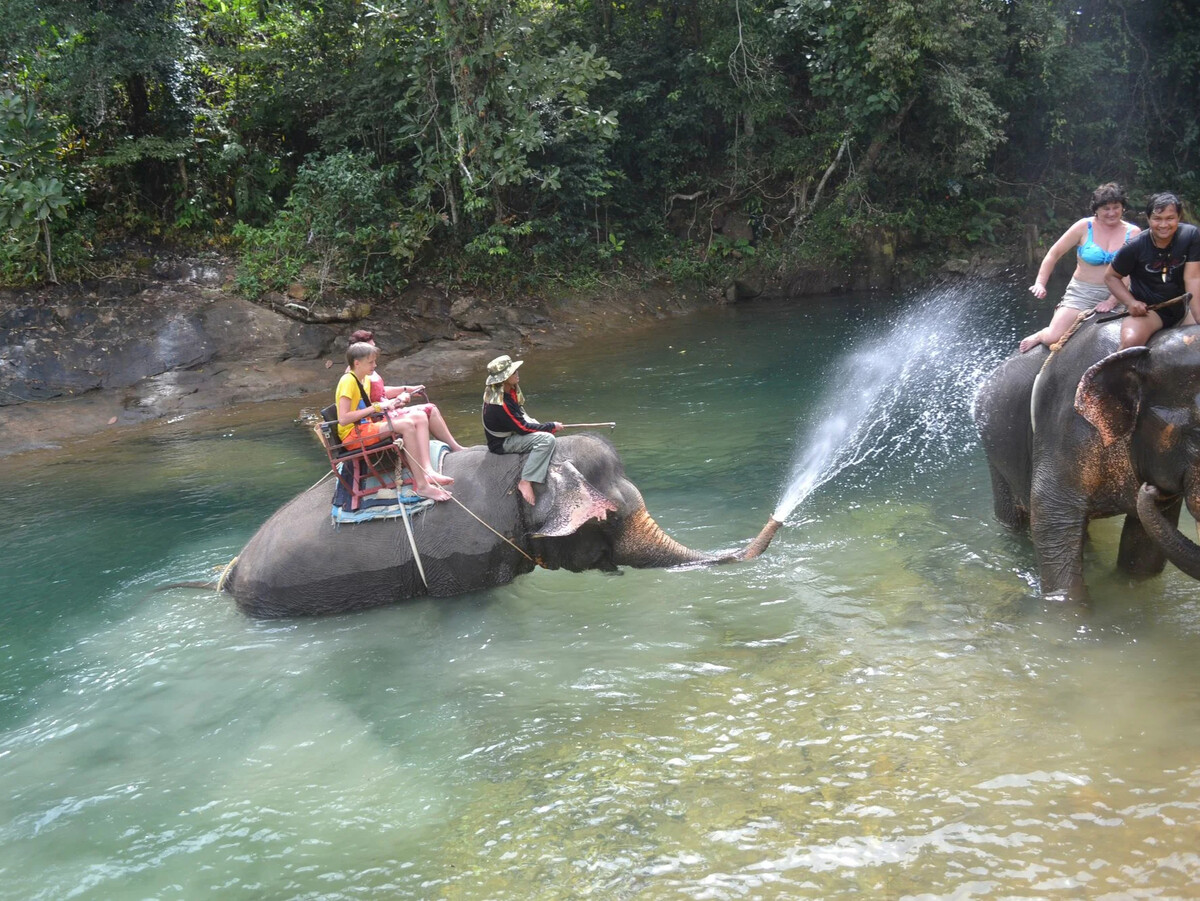 катание на слонах в тайланде
