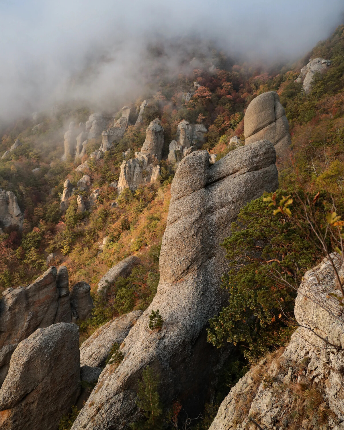 Осень в Крыму дзен