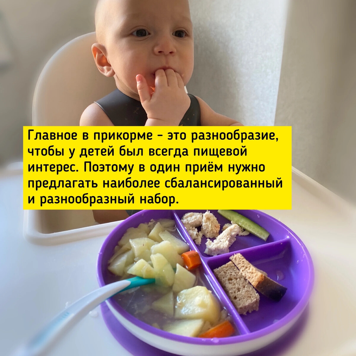начало прикорма и стул ребенка
