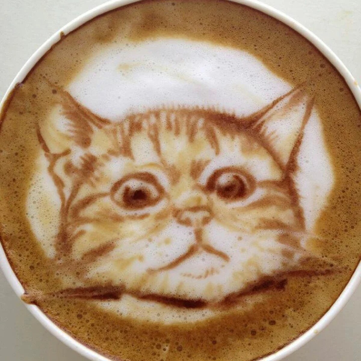 Котик с кофе арт