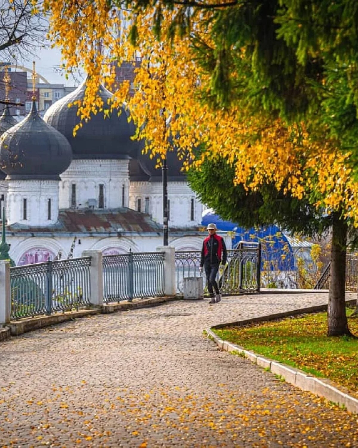 Осень Александровский сад каров