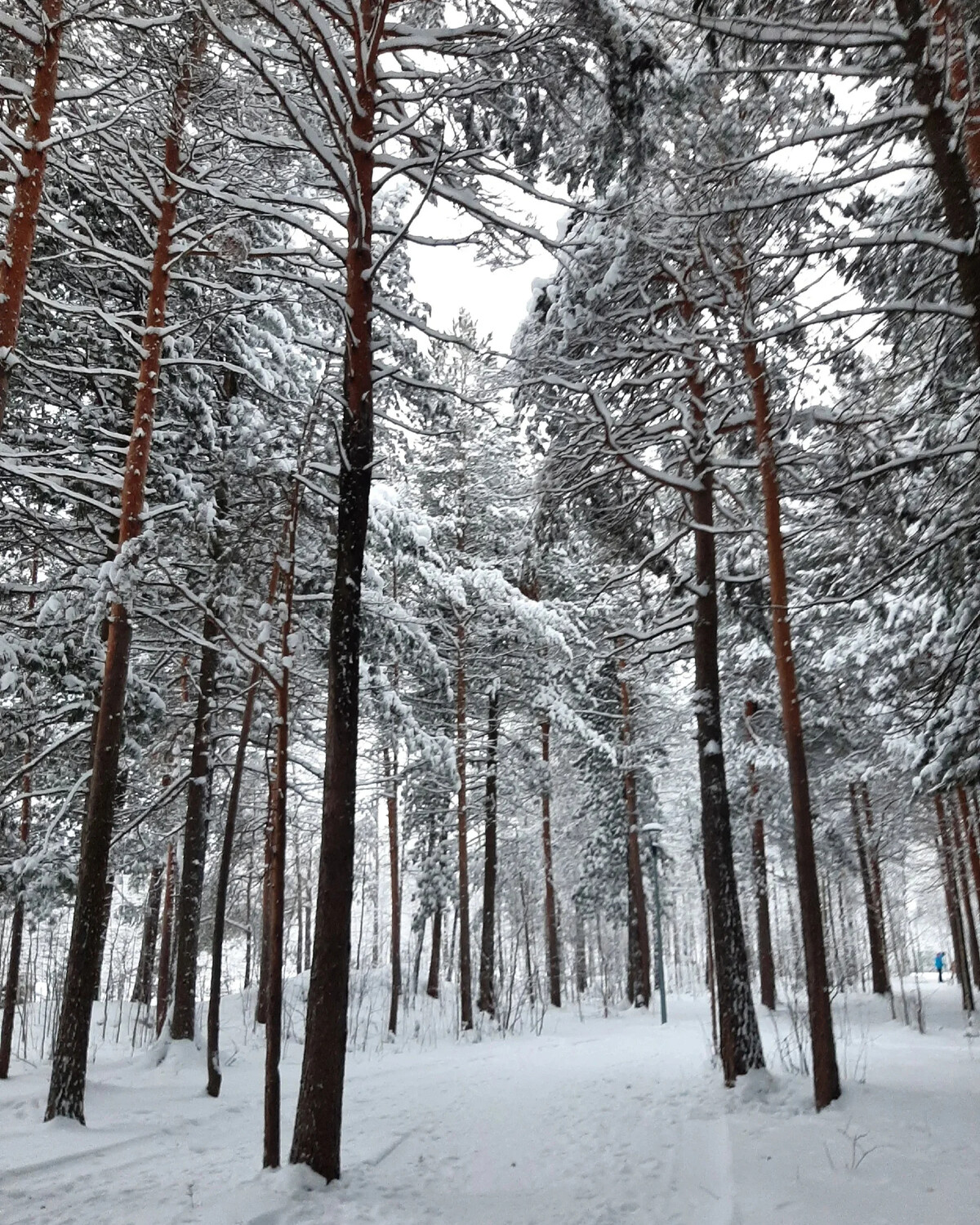 холод правда