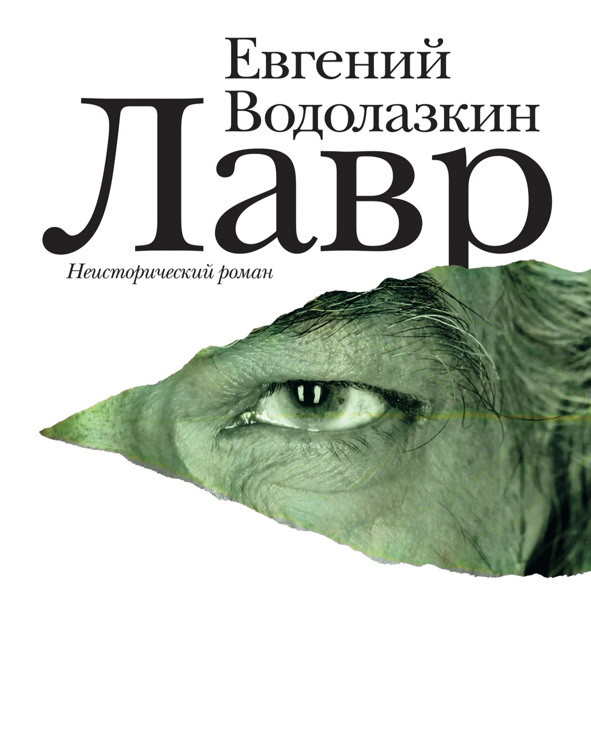 Водолазкин книги