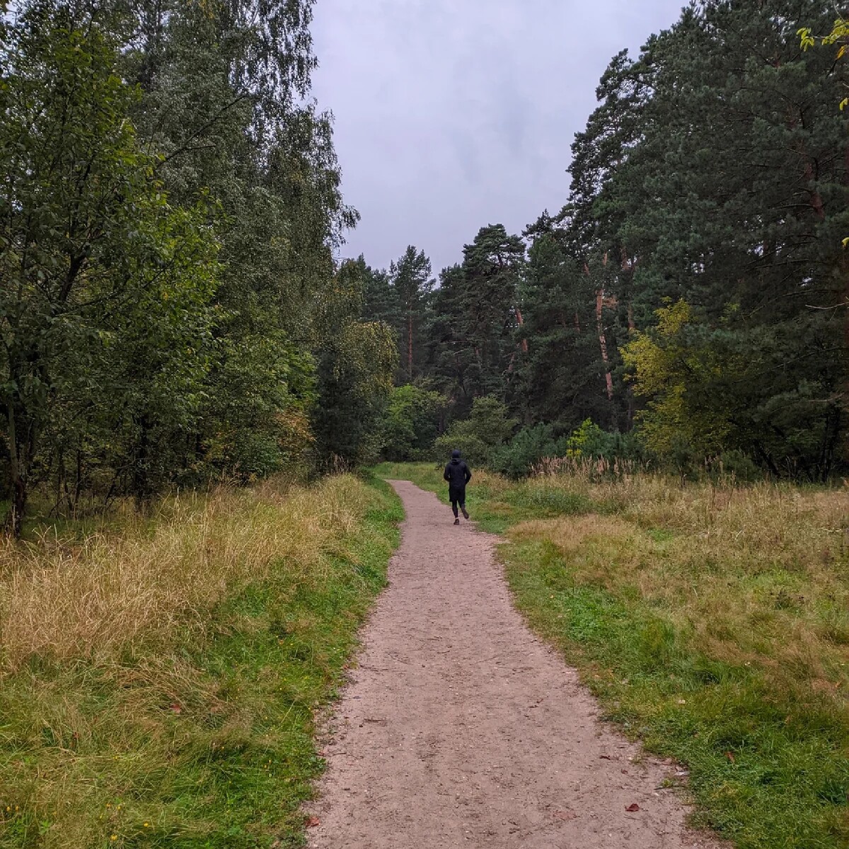 Планы в фотографии. Дальний план. Пейзаж без обработки. Дальний план фото. Дальний план в фотографии.