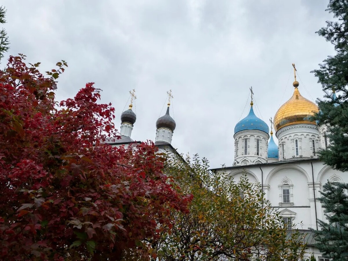 Новоспасский монастырь москва фото