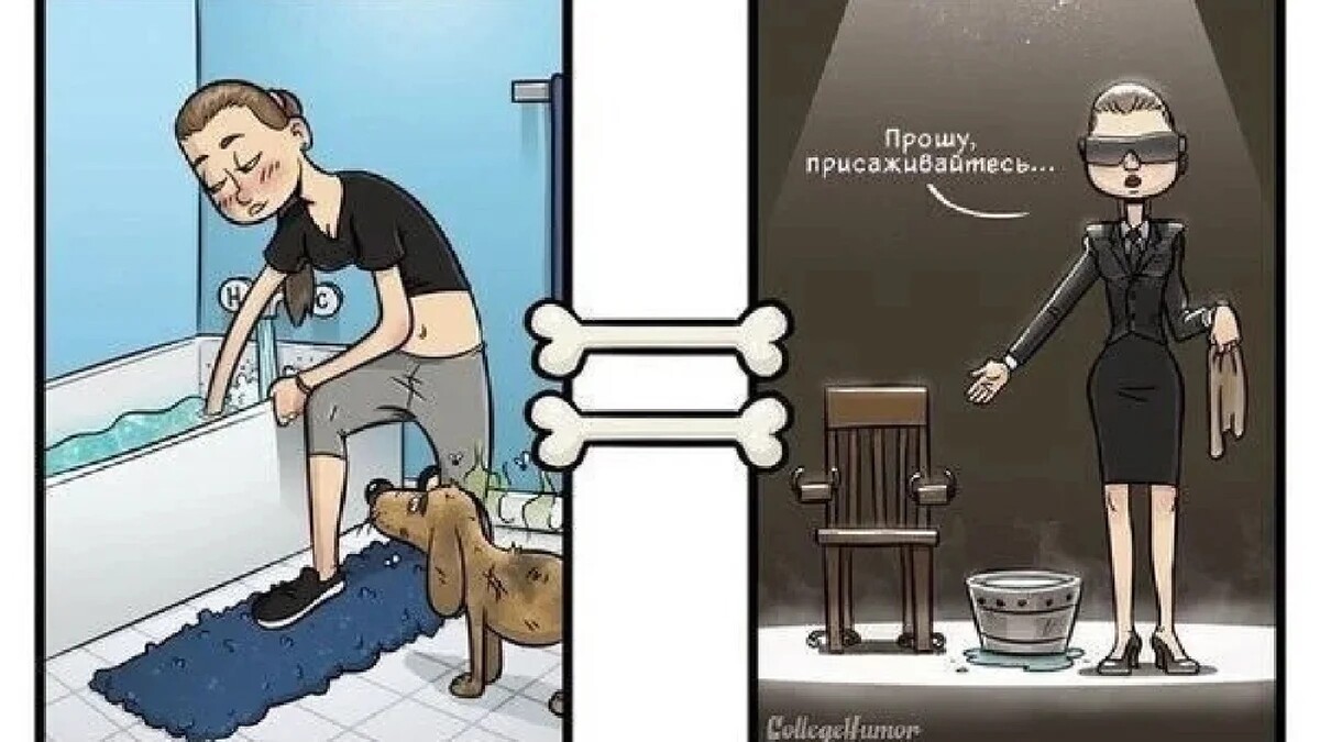 мир глазами собаки цвета. наш мир глазами собаки. мир глазами собаки. мир глазами собаки. взгляд на мир глазами собаки.