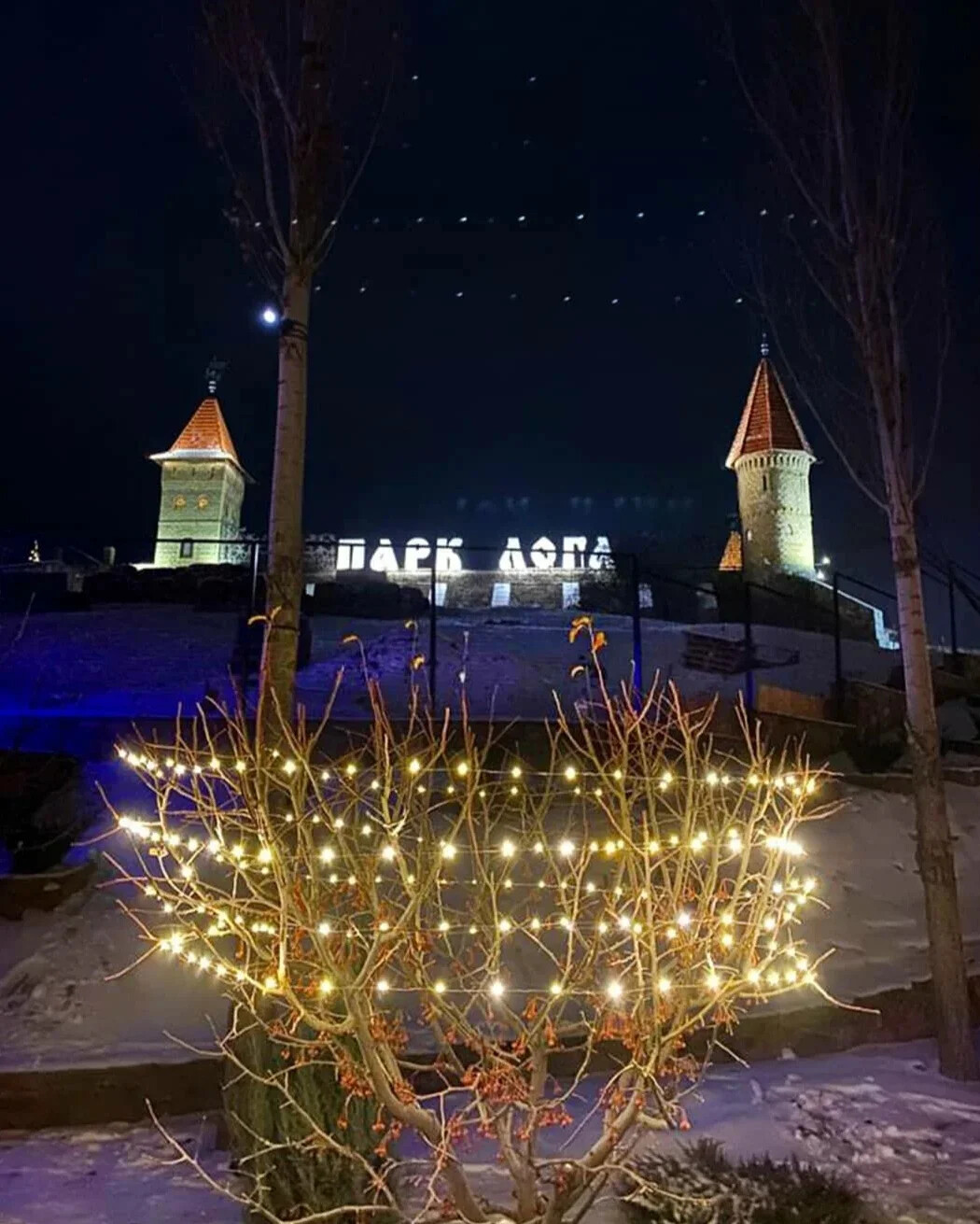 Парк лога зимой