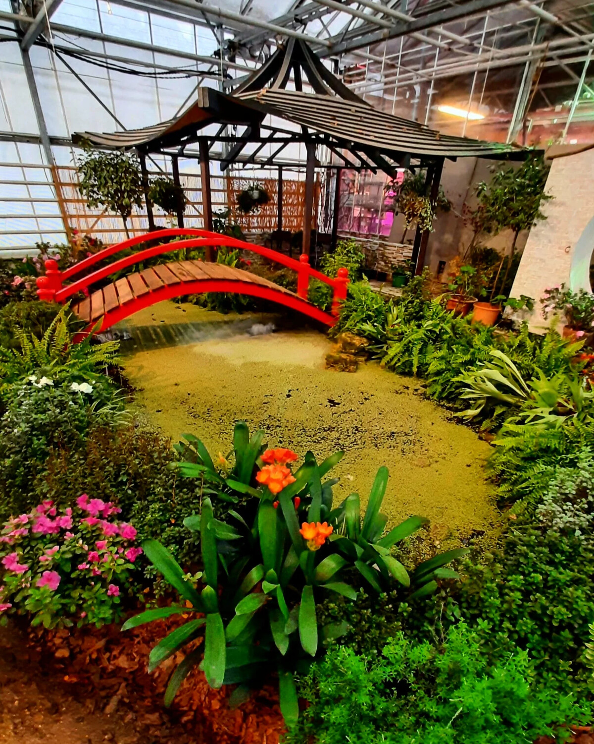 ботанический сад на ботанической москва