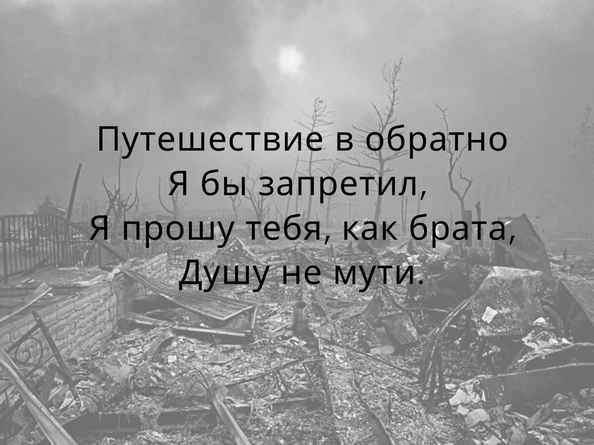 Соседи по несчастью. Шпаликов по несчастью или к счастью.