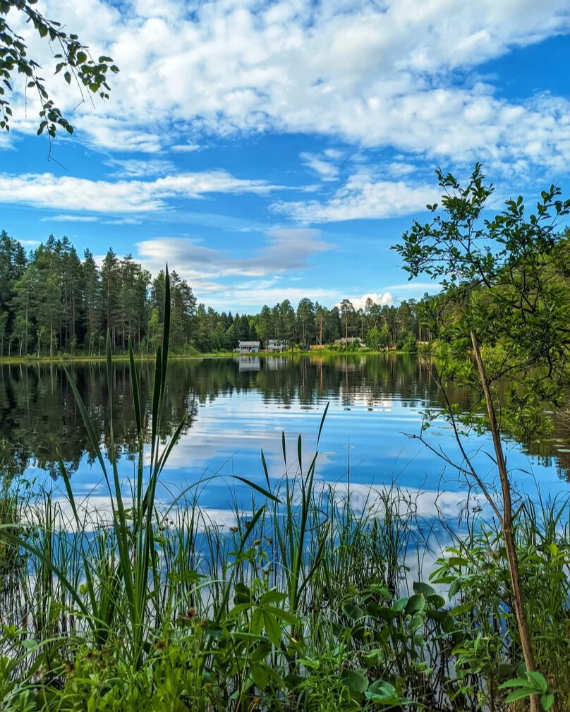 Подслушано в городе луге