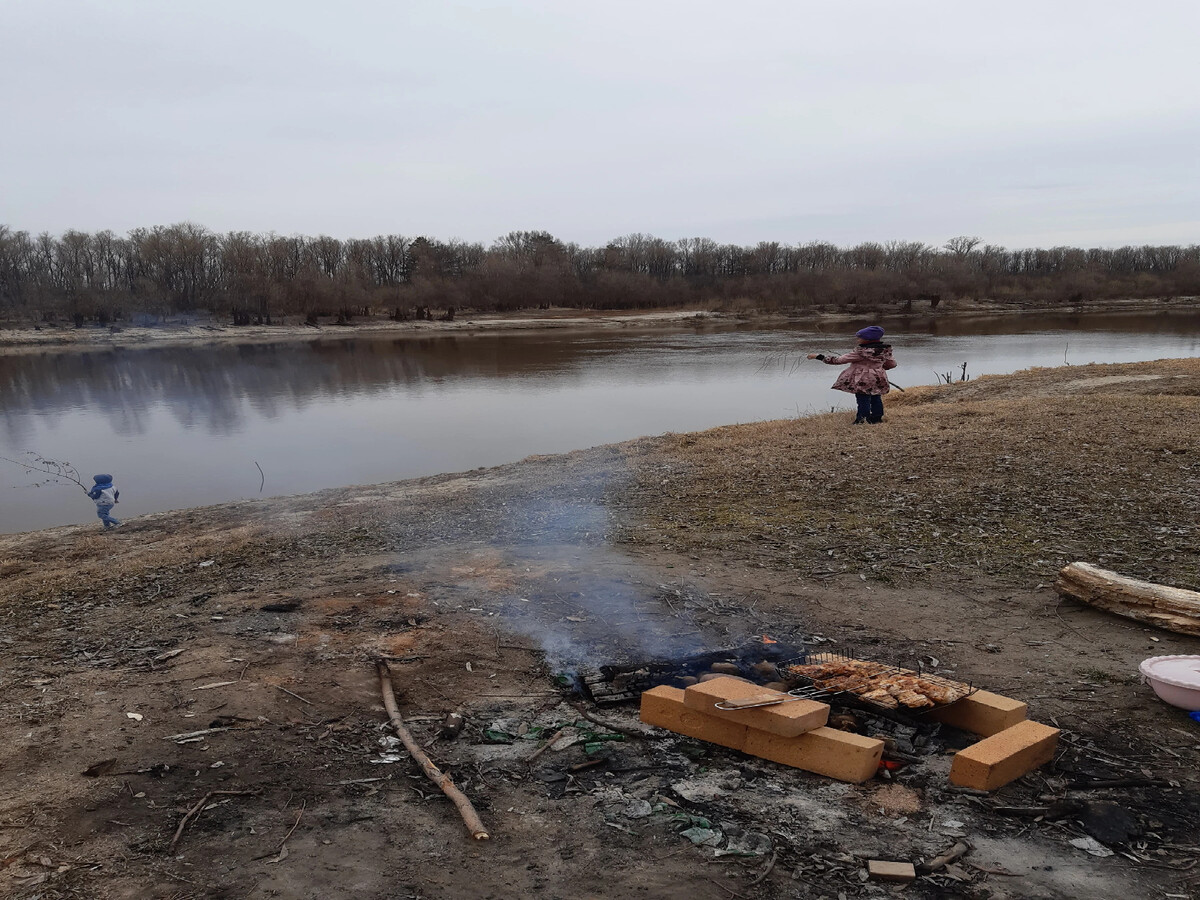 Вода реке тавда. Река Тавда Тюменская область. Ембаево Тюмень речка. Коряги на реке Тавда.