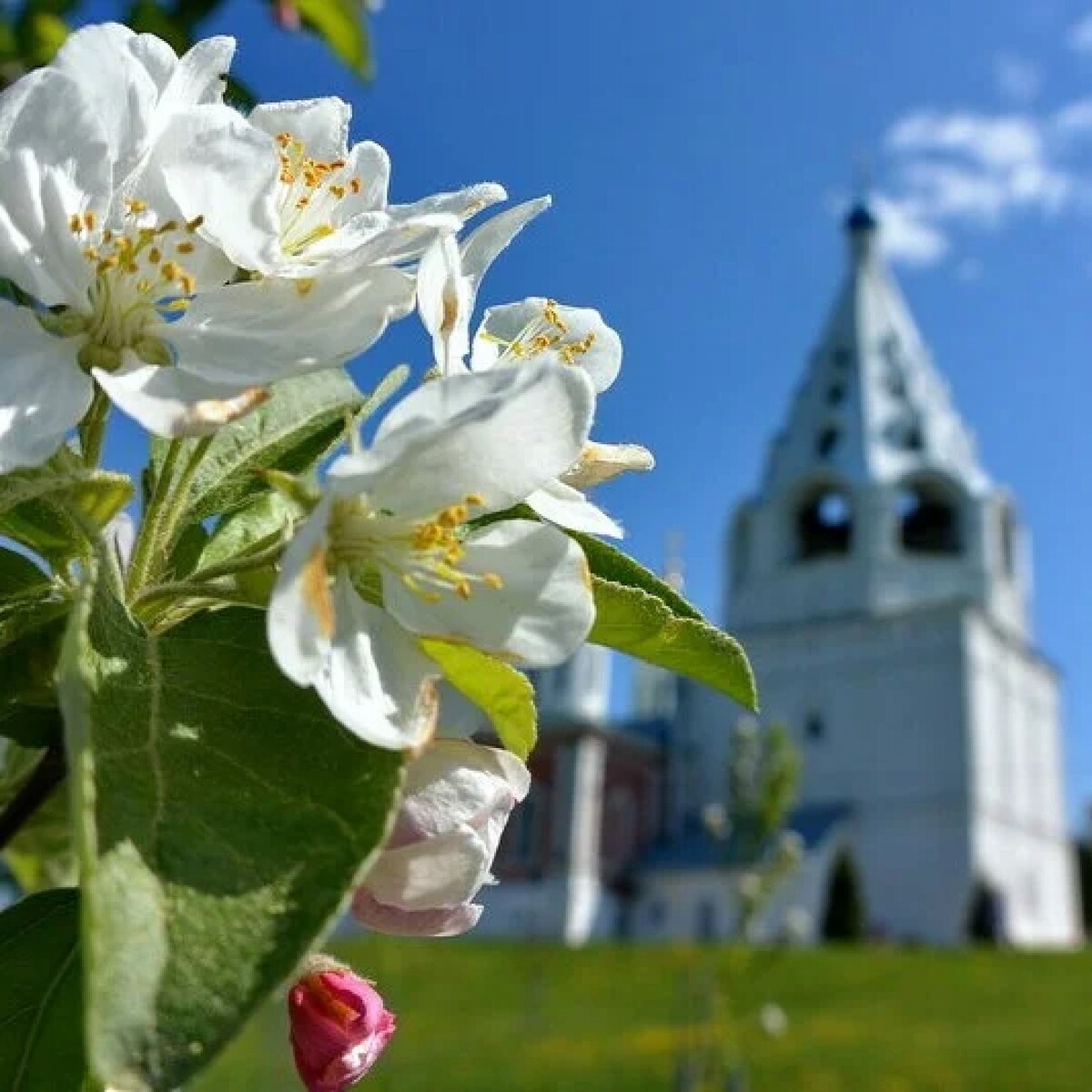 Весеннее цветение Родины моей