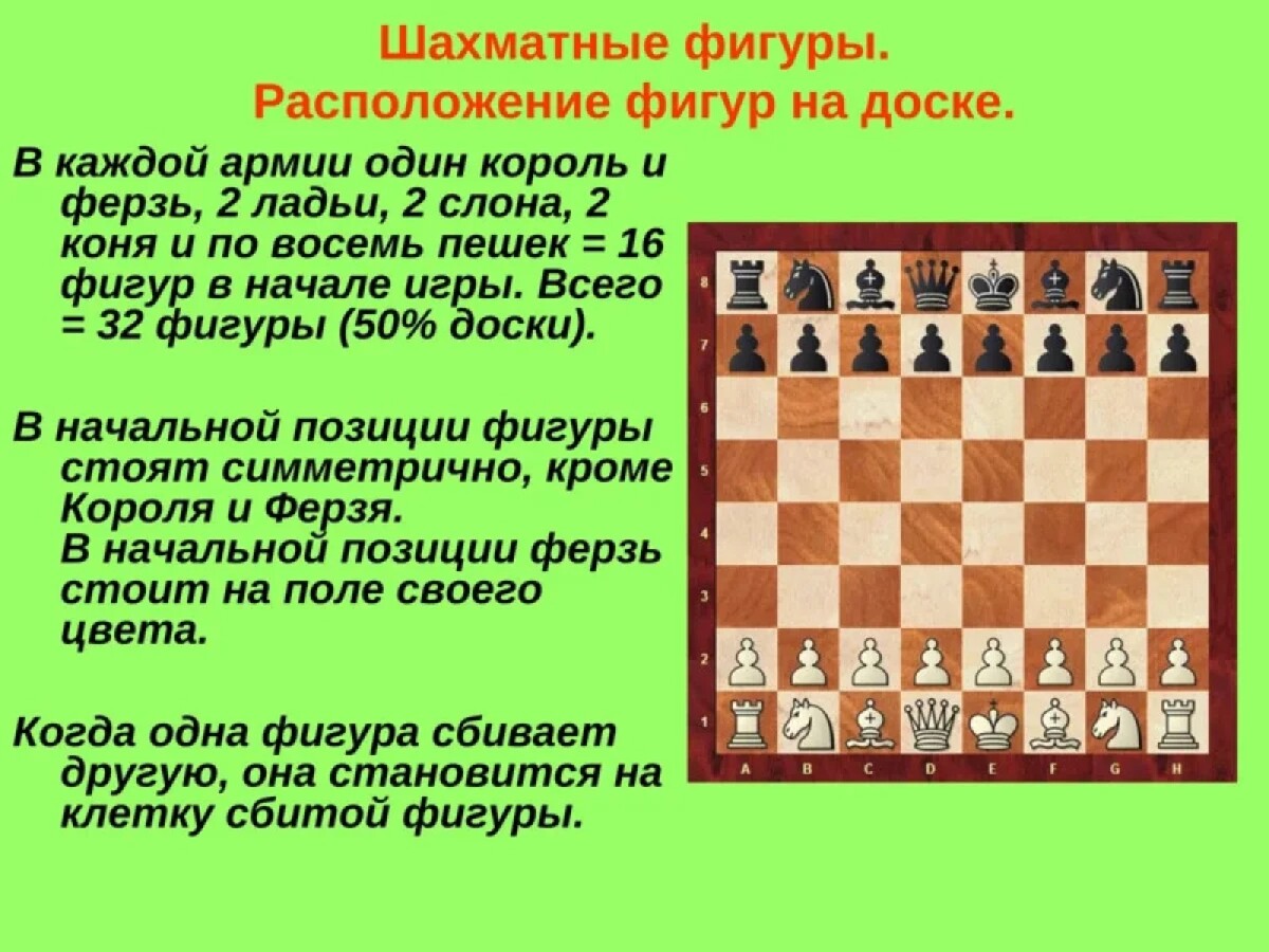 Как правильно расставить шахматы на шахматной доске фото с названиями