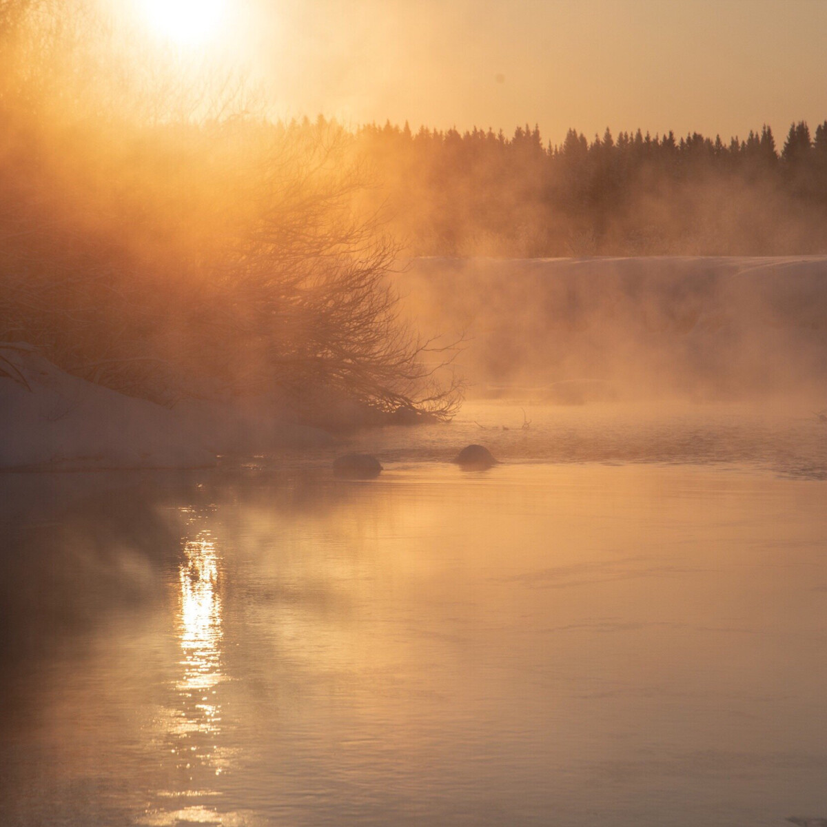 Река парить. Парящая речка. Река парить. Парящая река. Над рекой парит.