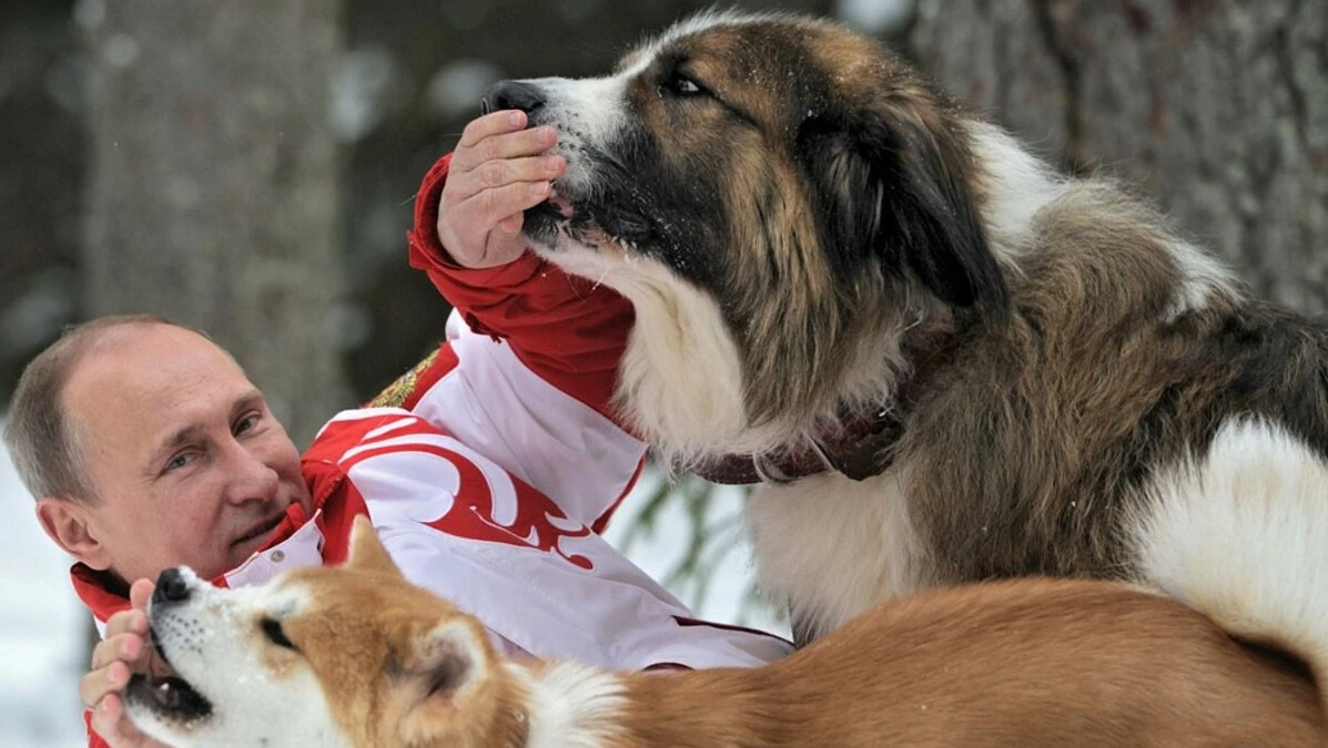 Фото животные путина