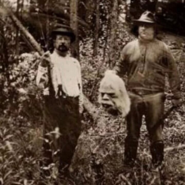 снежные люди очевидцы