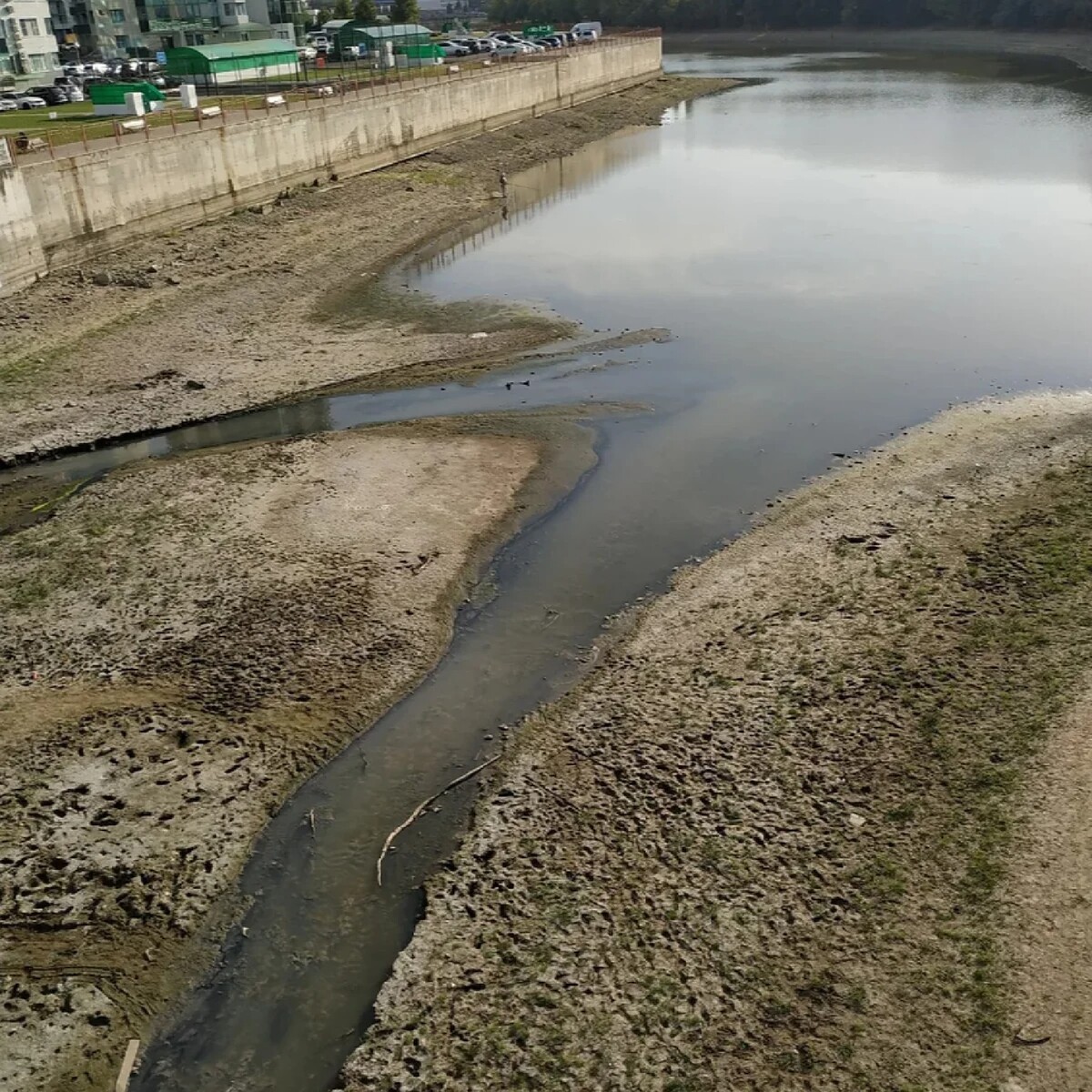 Уровень воды сегодня в реке кубань краснодар. Обмелевшая Кубань. Краснодар засуха. Сена обмелела. Армавир река Кубань обмелела.