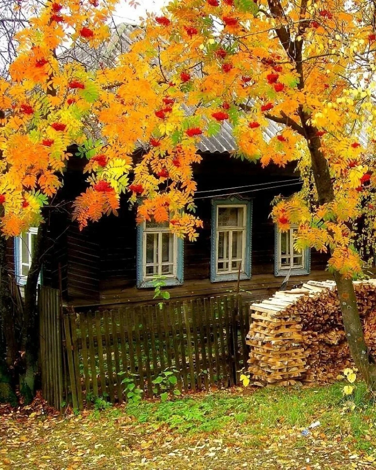 Деревня осенью