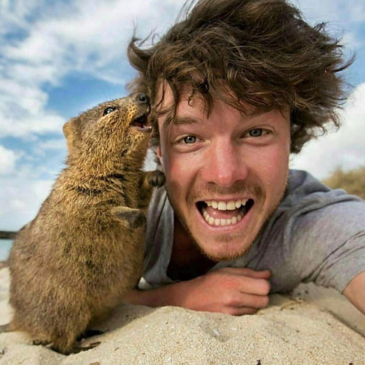 Интересные фотографии. Аллан Диксон. Квокка и человек. Артем Миронов Quokka. Радостные животные.