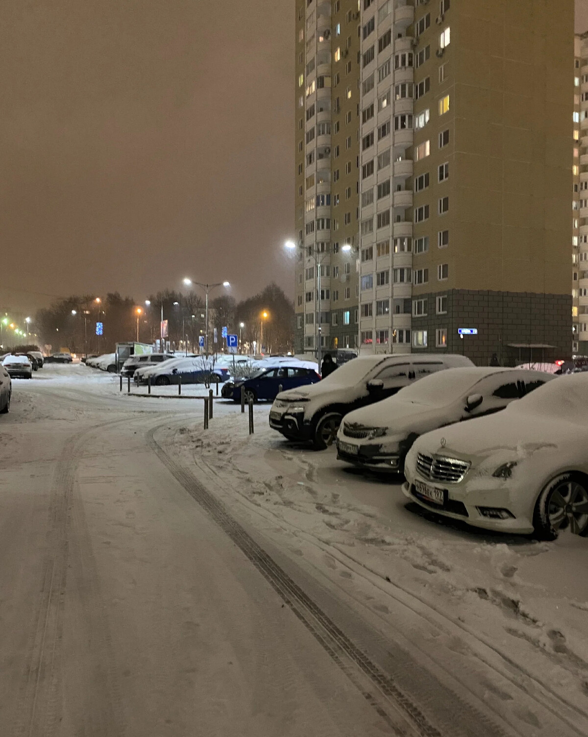 В россии выпадет снег
