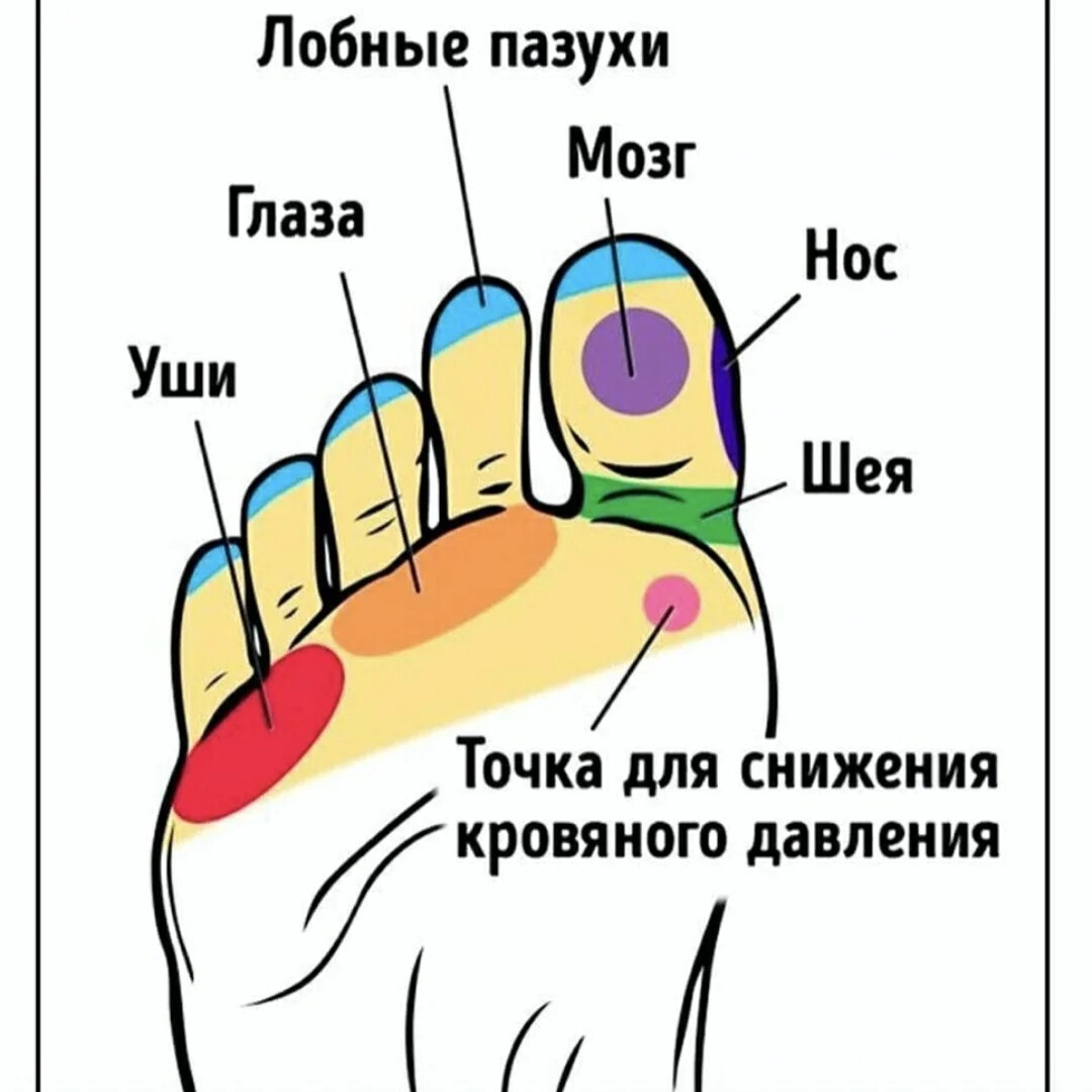 Акупунктурные точки на стопе человека схема расположения фото