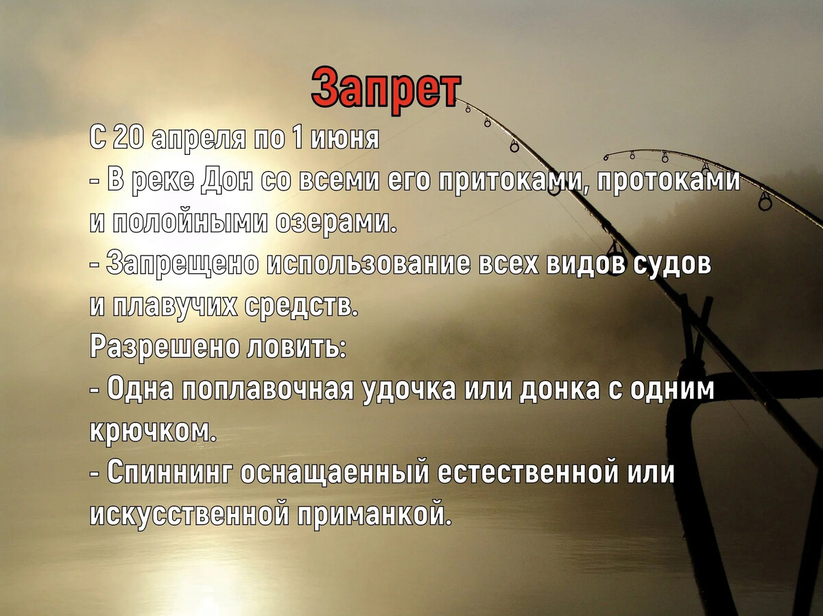 Запрет на ловлю в волгоградской области