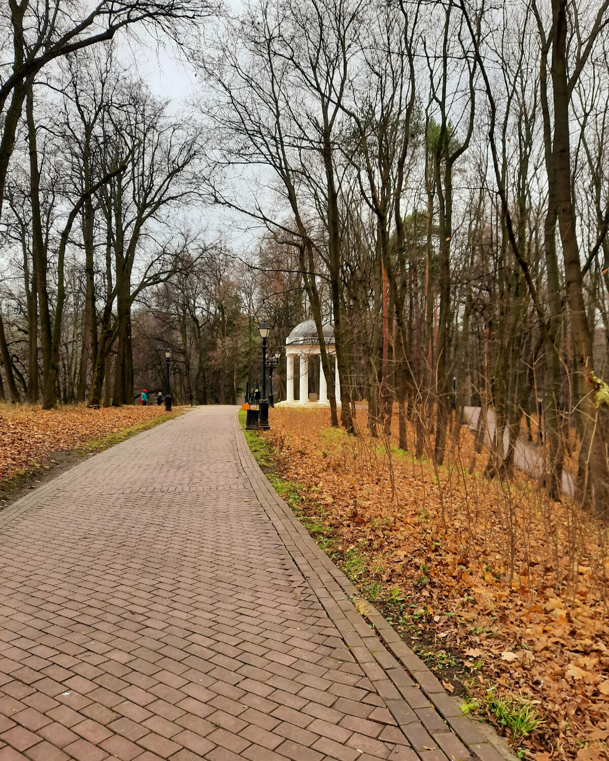 поздняя осень в москве