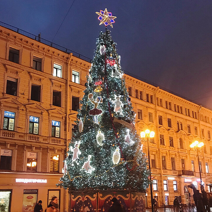 Новогодние елки спб. Уличная елка в Петербурге. Новогодняя елка во Львове. Елка в Питере 2022. Новогодняя елка в Питере 2022.