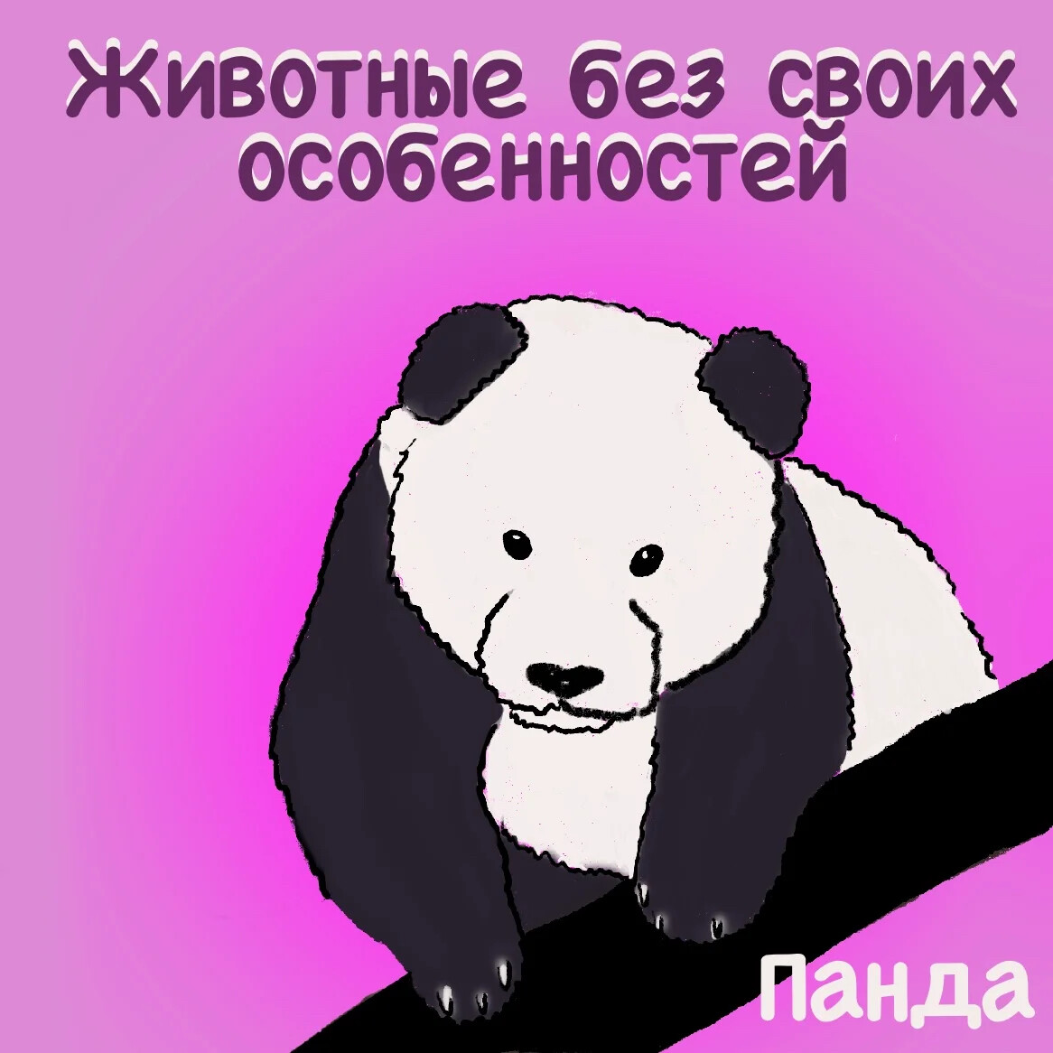 Панда без черных кругов под глазами