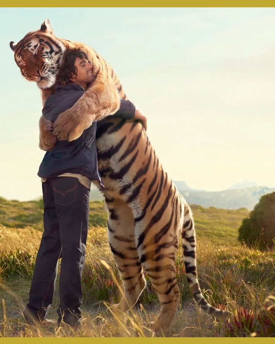 животное в каждом человеке. животное в каждом человеке. мы в ответе за тех кого мы приручили. одомашненный медведь. животное в каждом человеке.