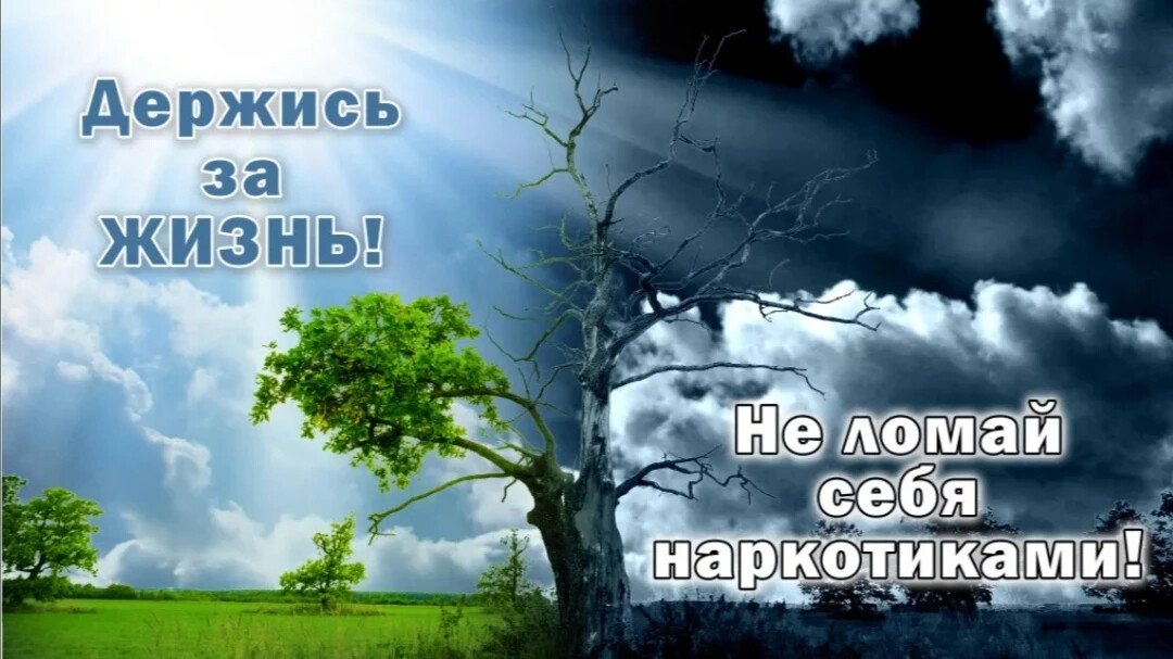 Эх жизнь держись. Держись за жизнь. Держись за жизнь картинки. Наркомания жизнь без будущего. За жизнь!.