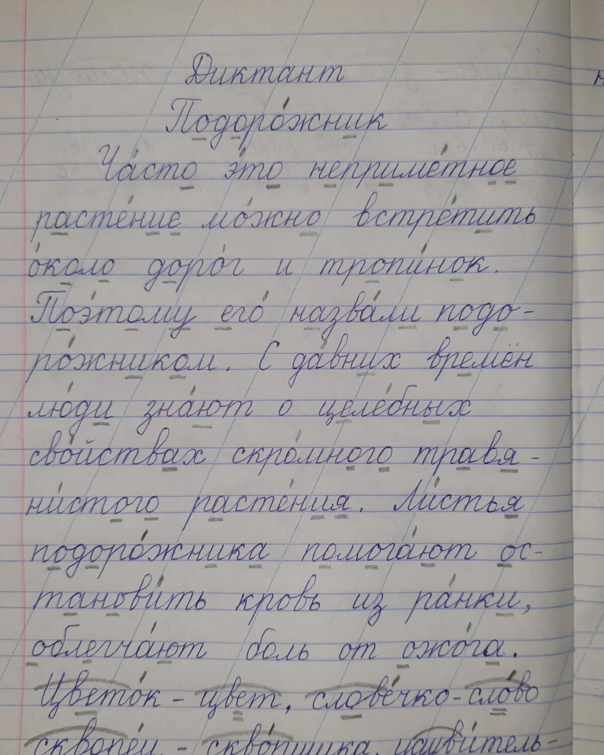 диктант осень на воде грамматическое задание. тематический контроль диктант с заданиями. диктант осенью грамматические задания ответы. диктант осенью грамматические задания ответы. диктант сиграматическими заданиям.